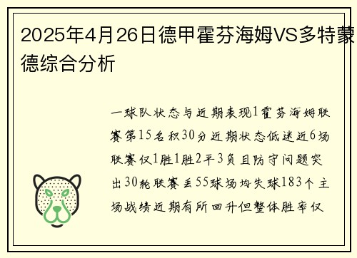 2025年4月26日德甲霍芬海姆VS多特蒙德综合分析